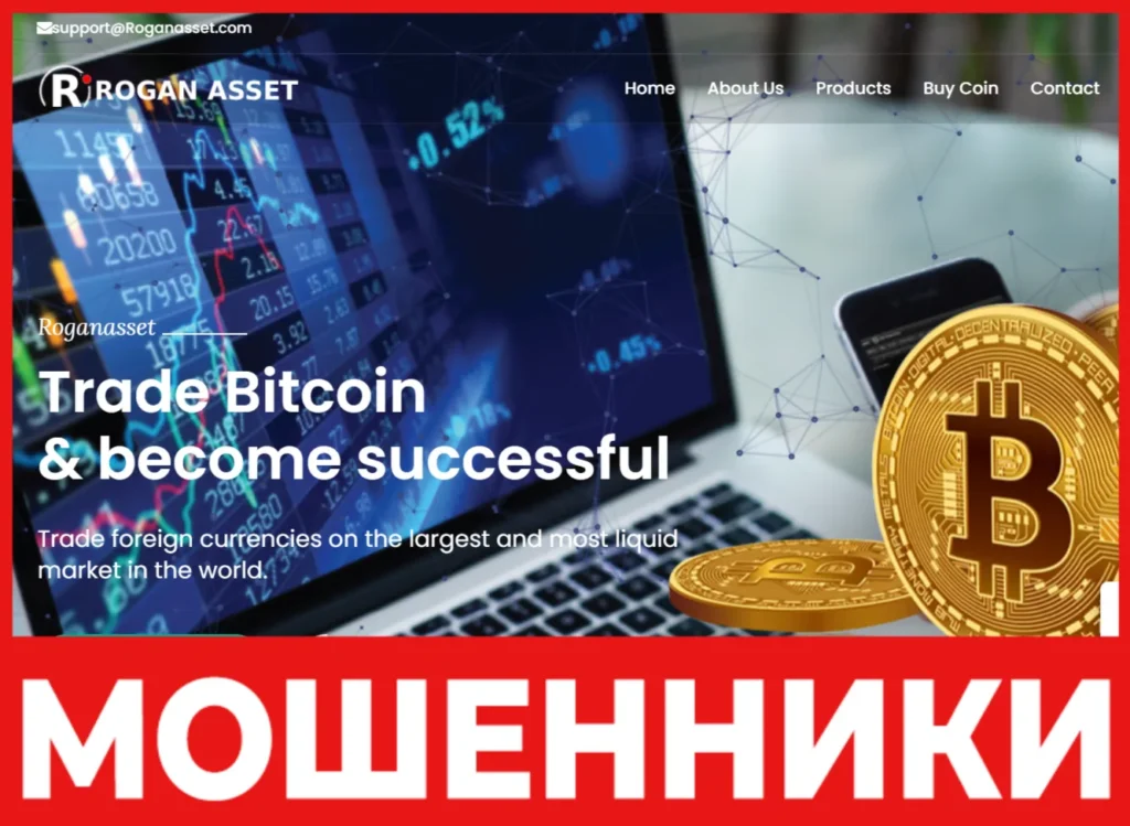 Rogan Asset лицевая сторона скрин