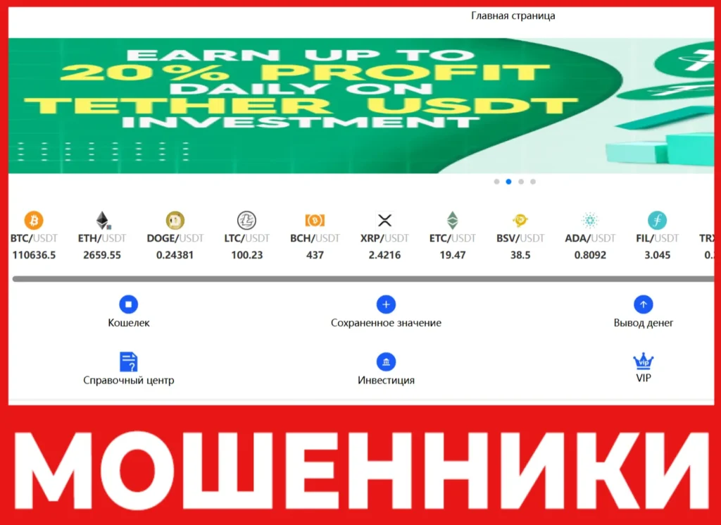 Slycl лицевая сторона скрин