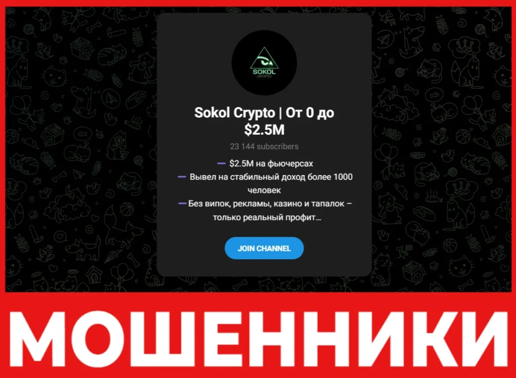 Sokol Crypto лицевая сторона скрин