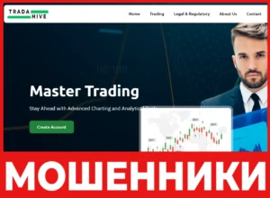 TradaHive лицевая сторона скрин