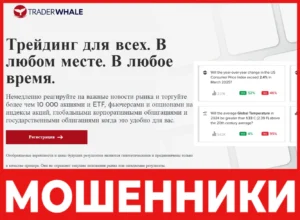 TRADERWHALE лицевая сторона скрин