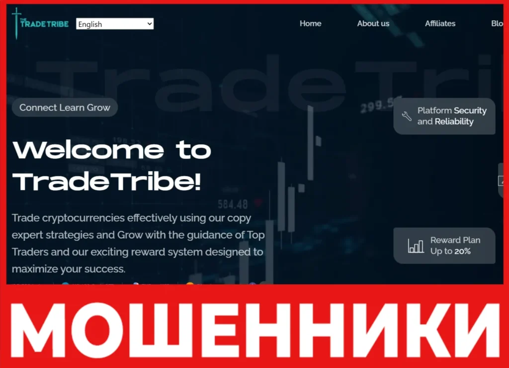 TradeTribe лицевая сторона скрин