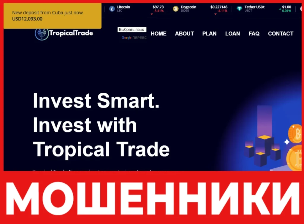 Tropical Trade лицевая сторона скрин
