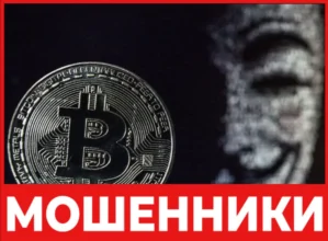Vavobit лицевая сторона скрин