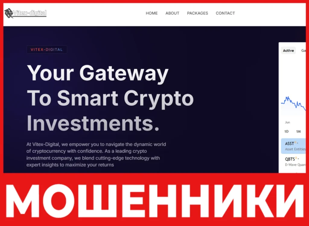 Vitex-Digital лицевая сторона скрин