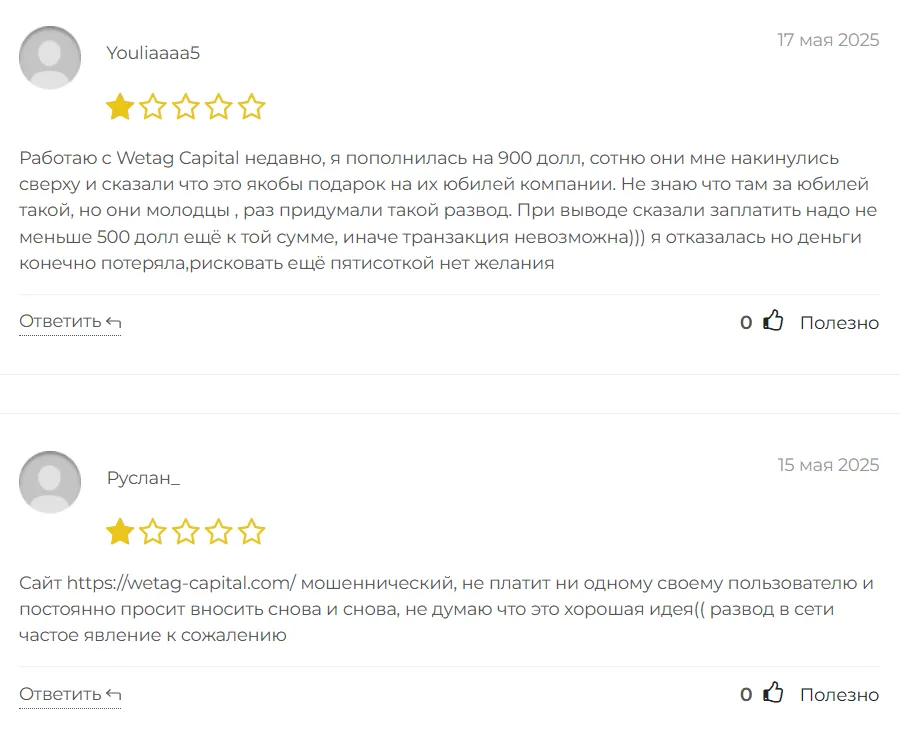 Wetag Capital_1 скрин