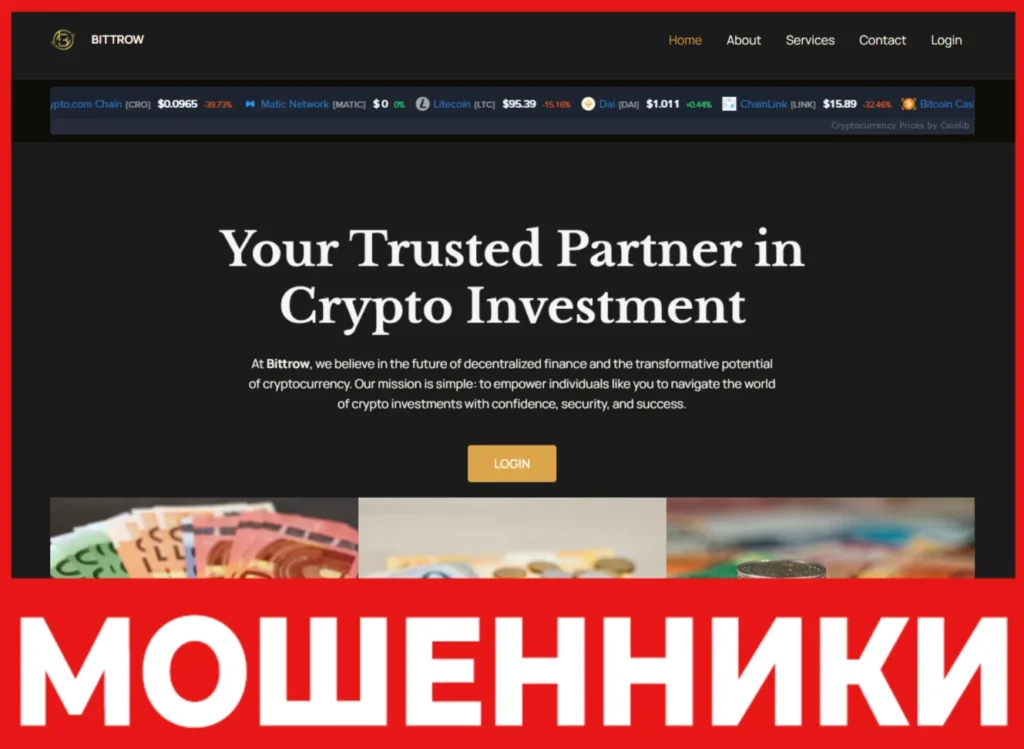 WorldLiberty лицевая сторона скрин