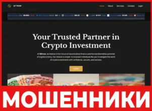 WorldLiberty лицевая сторона скрин