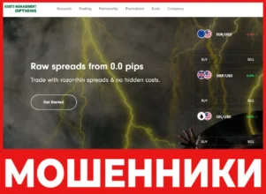 Assets Management Options лицевая сторона скрин