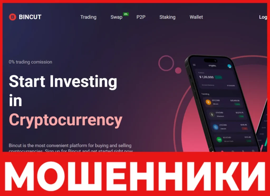 Bincut лицевая сторона скрин