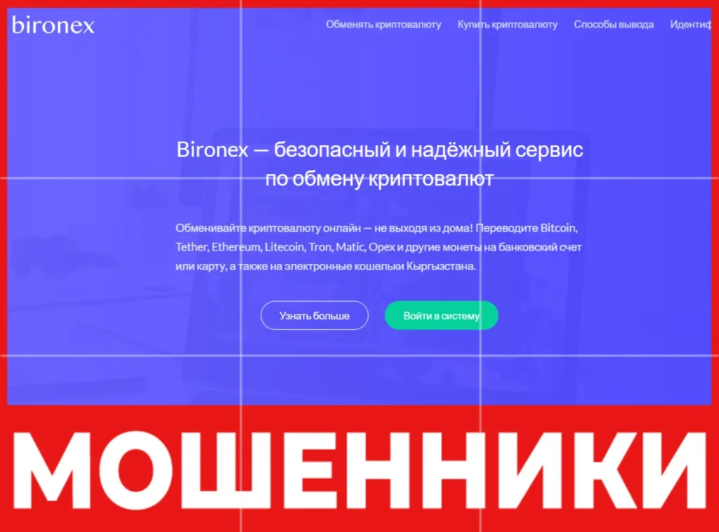 Bironex лицевая сторона скрин
