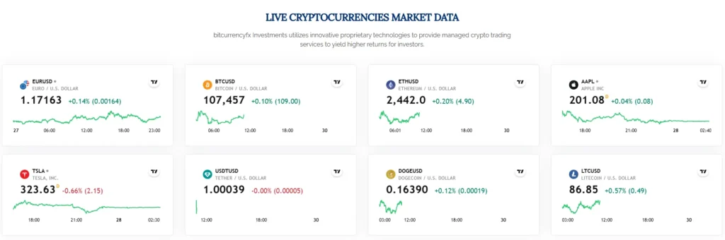 bitcurrencyfx 1 скрин