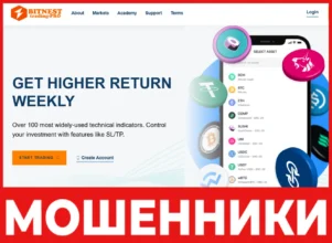 Bitnest Trading Pro лицевая сторона скрин