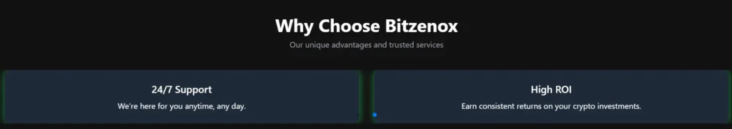 Bitzenox 1 скрин