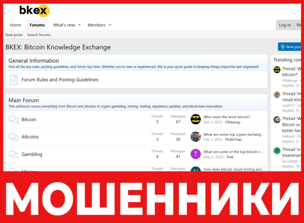 BKEX лицевая сторона скрин