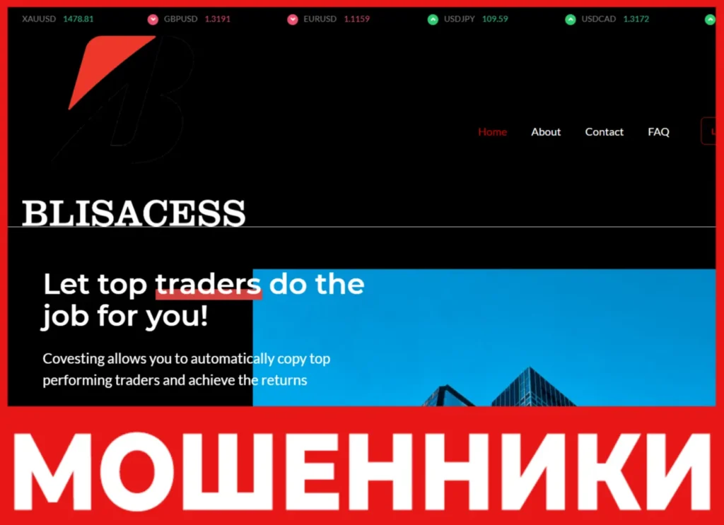 Blisacess лицевая сторона скрин