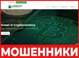 Blue Spot Digitals лицевая сторона скрин