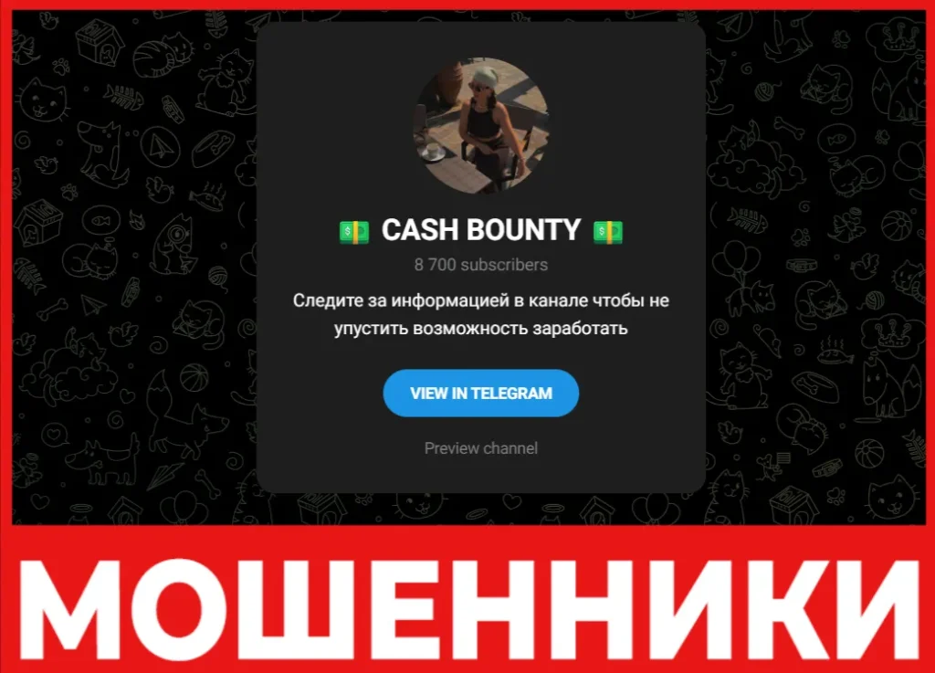 CASH BOUNTY лицевая сторона скрин