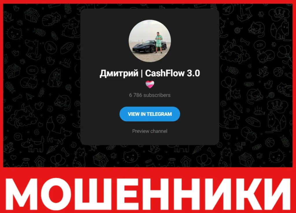 Дмитрий CashFlow 3.0 лицевая сторона скрин