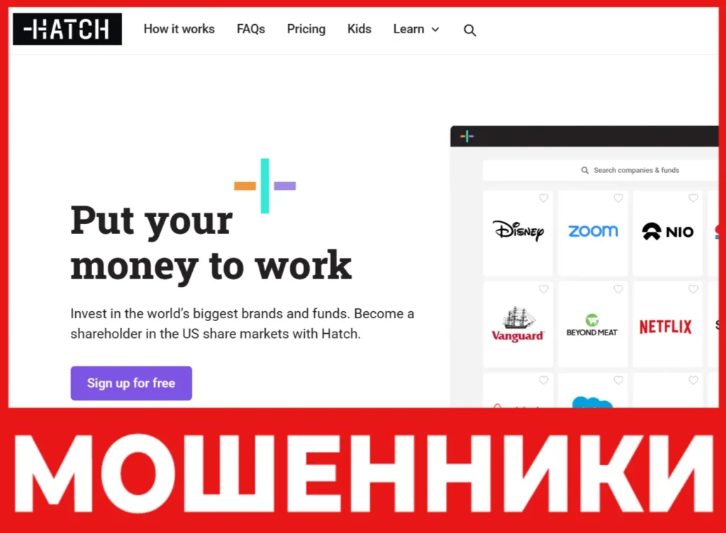 Hatch лицевая сторона скрин