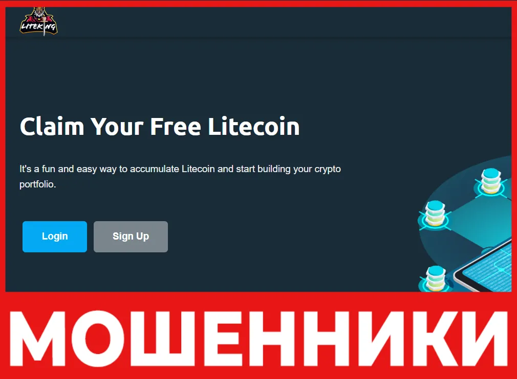 Liteking лицевая сторона скрин