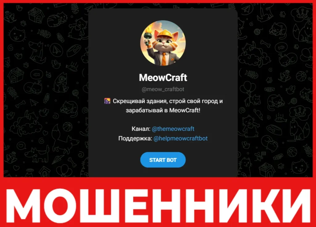 MeowCraft лицевая сторона скрин