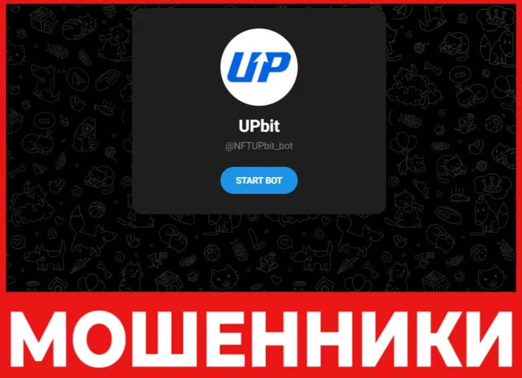 NFTUPbit Bot лицевая сторона скрин