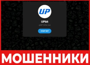 NFTUPbit Bot лицевая сторона скрин