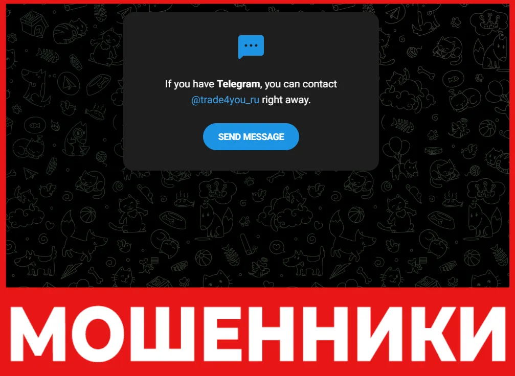 Официальный Канал CRYPTO лицевая сторона скрин