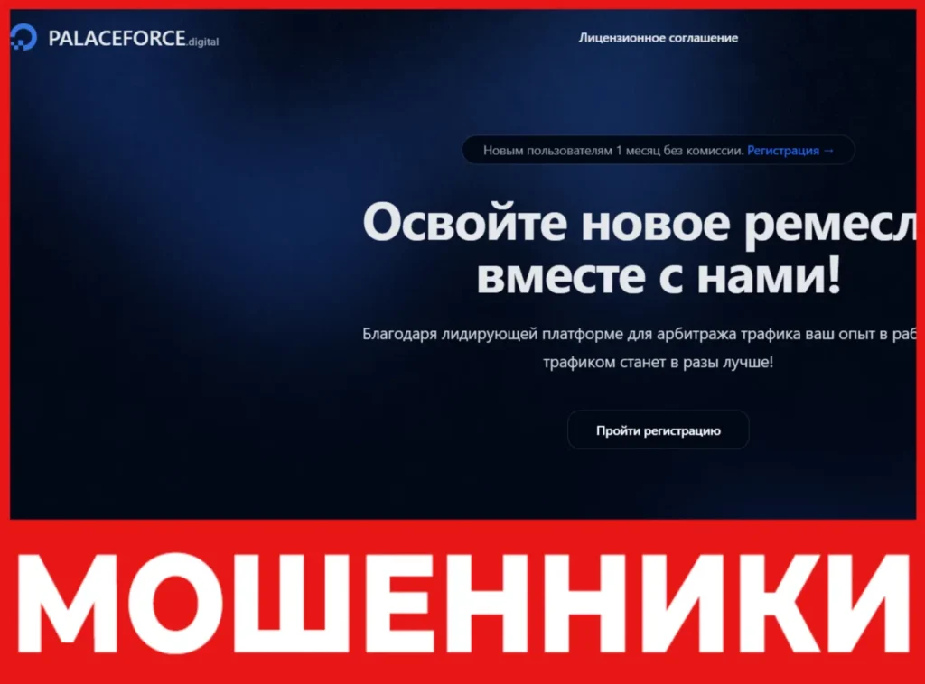 Palaceforce лицевая сторона скрин