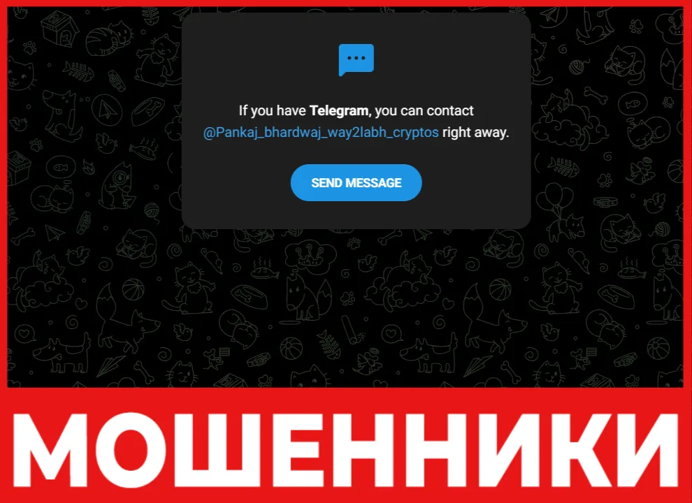 PANKAJ BHARDWAJ WAY2LAABH лицевая сторона скрин