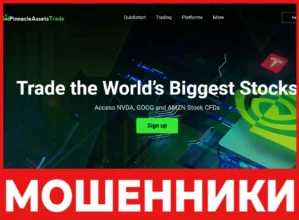 Pinnacle Assets Trade лицевая сторона скрин