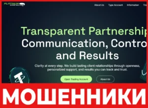Platinum Shares Solutions лицевая сторона скрин