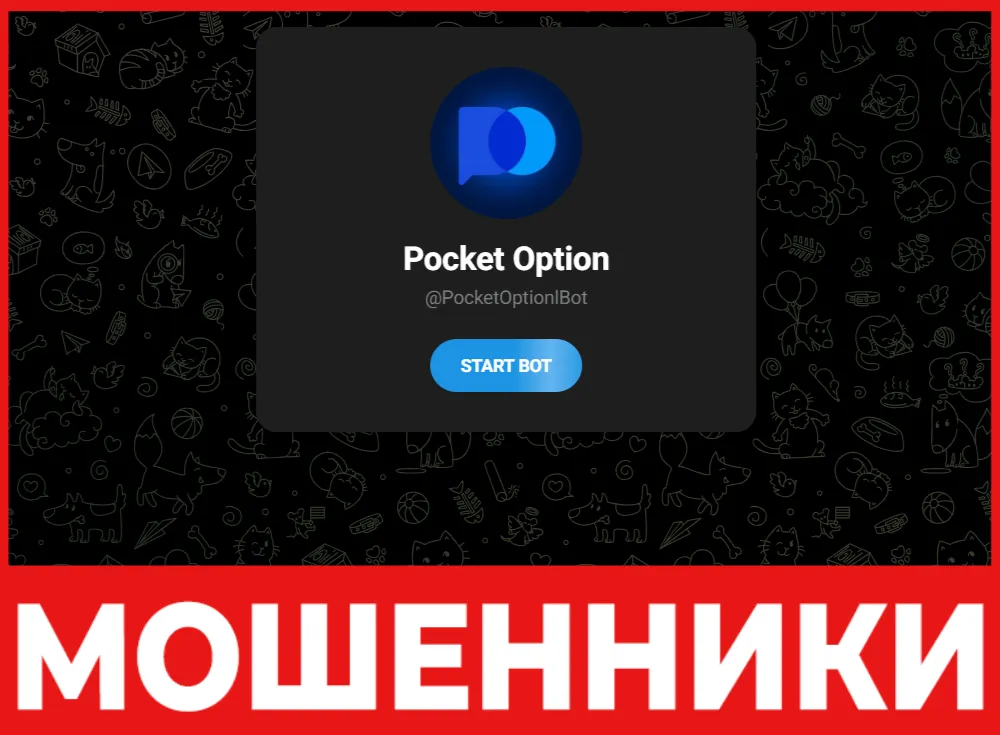 PocketOptionlBot лицевая сторона скрин