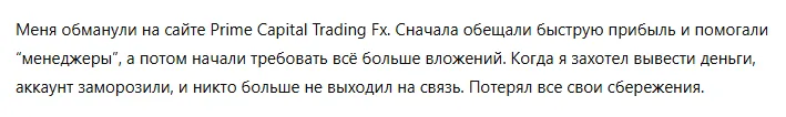 Prime Capital Trading Fx 3 скрин