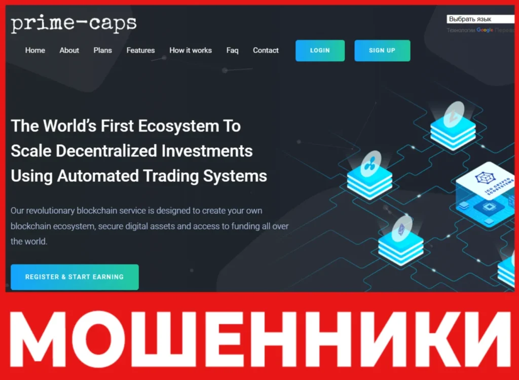 Prime-caps лицевая сторона скрин