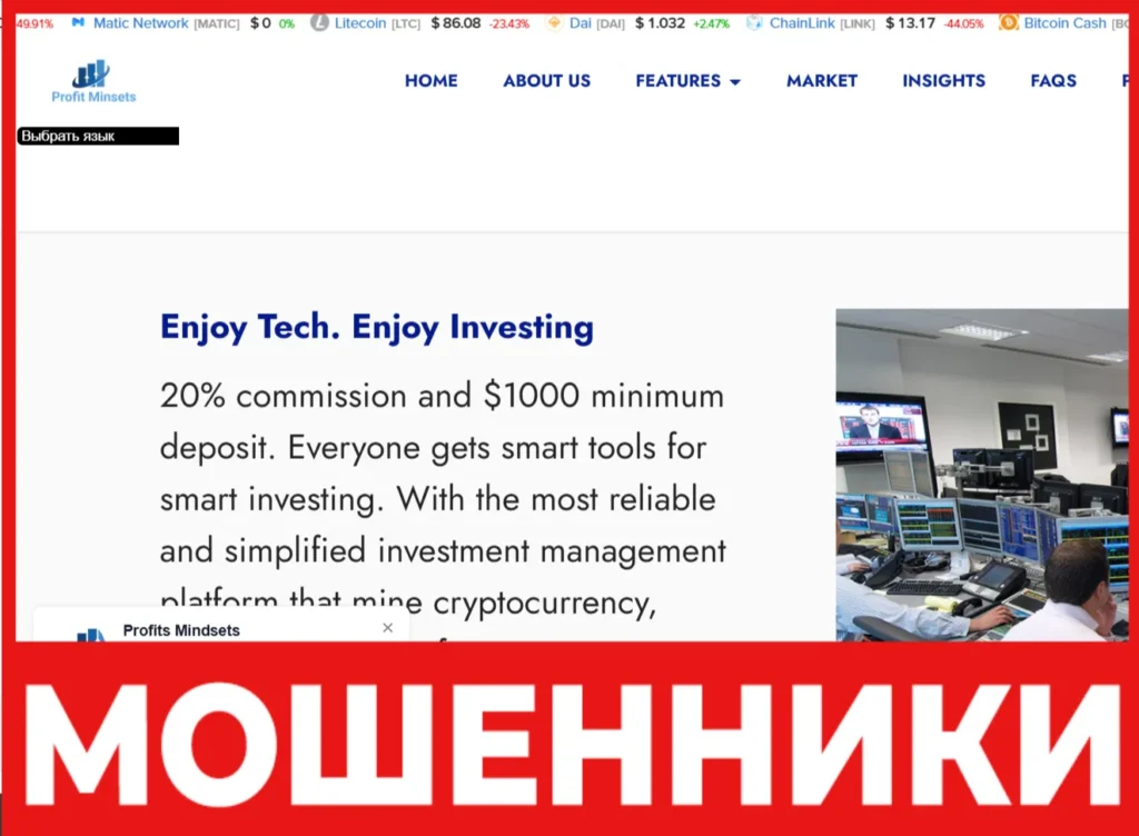 Profit Mindsets лицевая сторона скрин