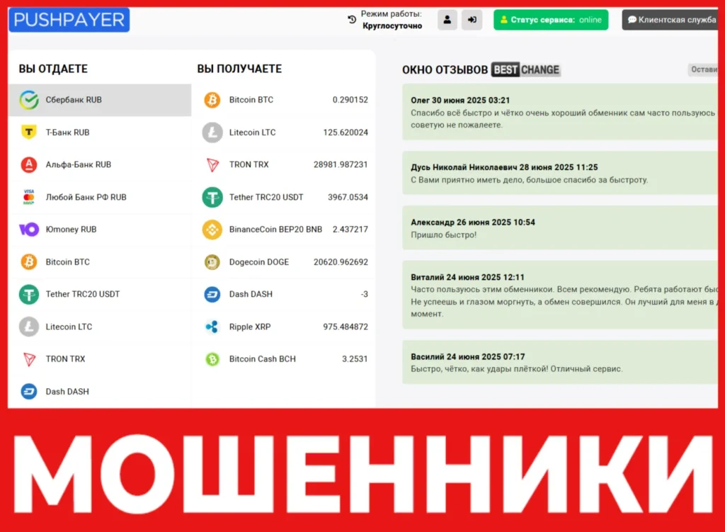 PushPayer лицевая сторона скрин