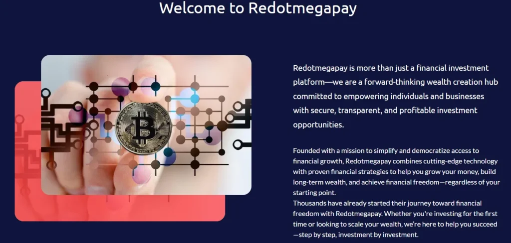 Redotmegapay 1 скрин