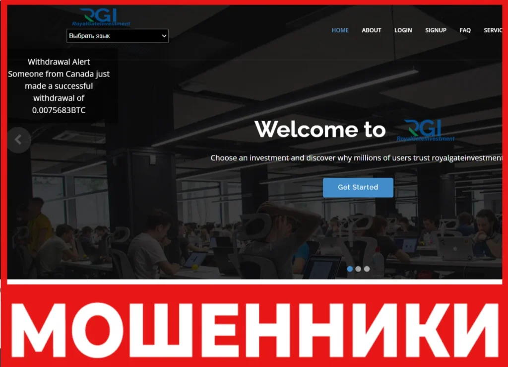 Royalgateinvestment лицевая сторона скрин