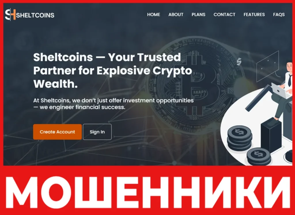 Sheltcoins лицевая сторона скрин