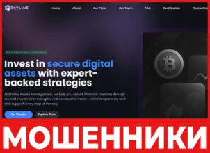 Skyline Assets Management лицевая сторон скрин