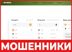Skywalex лицевая сторона скрин