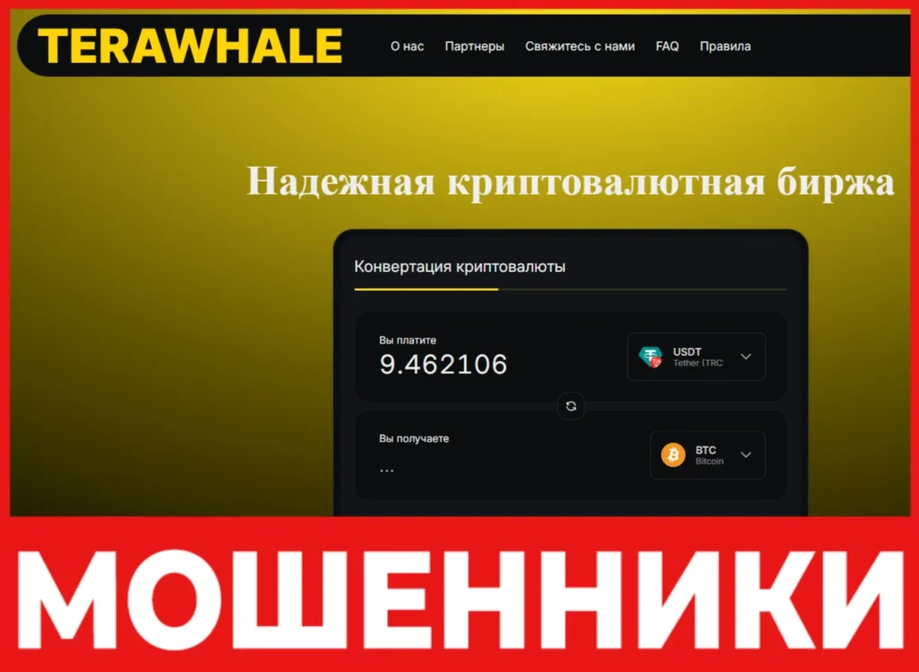 Terawhale лицевая сторона скрин