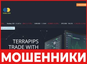 Terra Pips лицевая сторона скрин