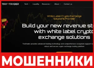 TinyTrader лицевая сторона скрин
