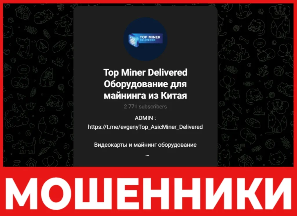 Top Miner Delivered лицевая сторона скрин