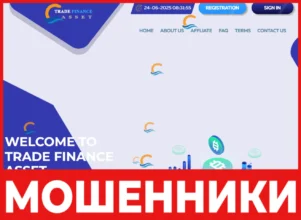 TRADE FINANCE ASSET лицевая сторона скрин