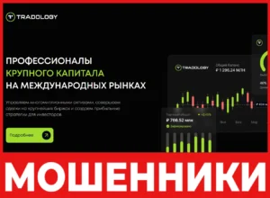 Tradology лицевая сторона скрин