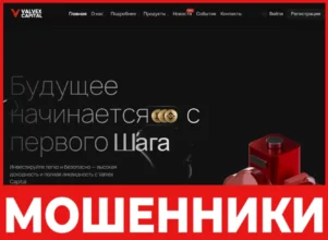 Valvex Capital лицевая сторона скрин